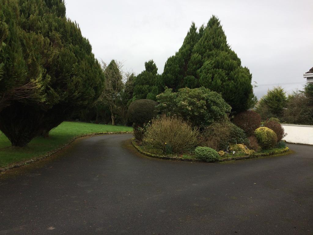 Palm Grove B&B Cashel (Tipperary) Exteriör bild