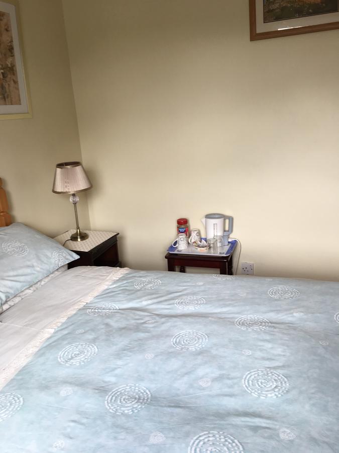 Palm Grove B&B Cashel (Tipperary) Exteriör bild